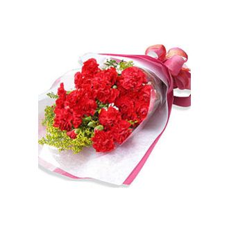 send 12 red carnations to japan