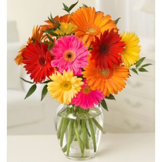 send 10 stems of assorted mix of daisies to japan
