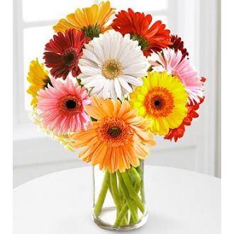 send 12 multi color gerbera daisies in vase to japan