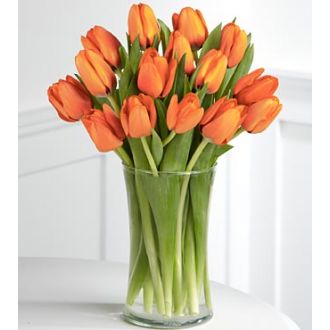 send 12 orange tulips to japan