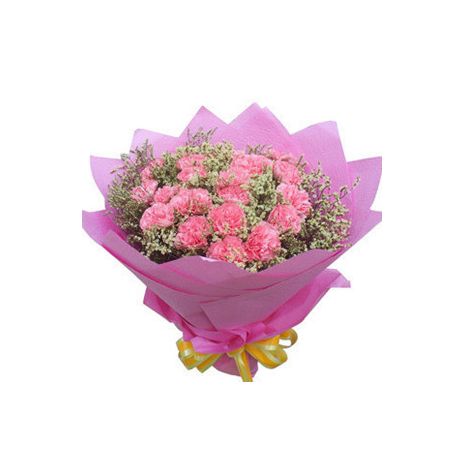 send 12 pink carnations to japan
