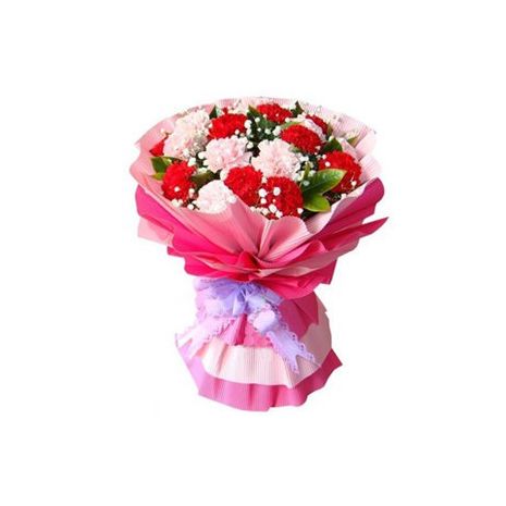 send 12 pink and red carnations to japan