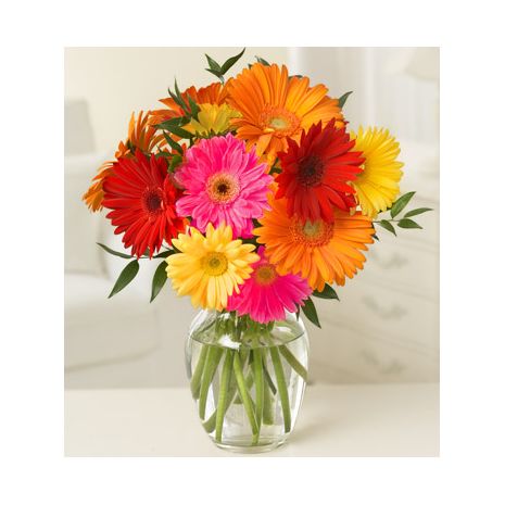send 10 stems of assorted mix of daisies to japan