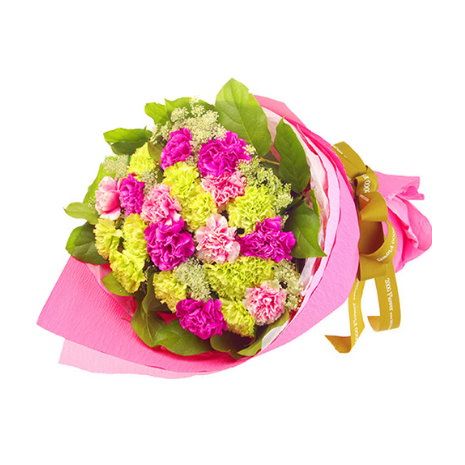send mixed color carnation bouquet to japan